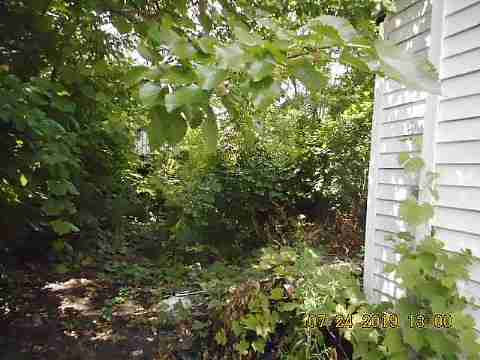 20289 Barlow (4)_m.jpg